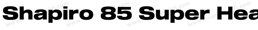 Shapiro 85 Super Hea字体转换